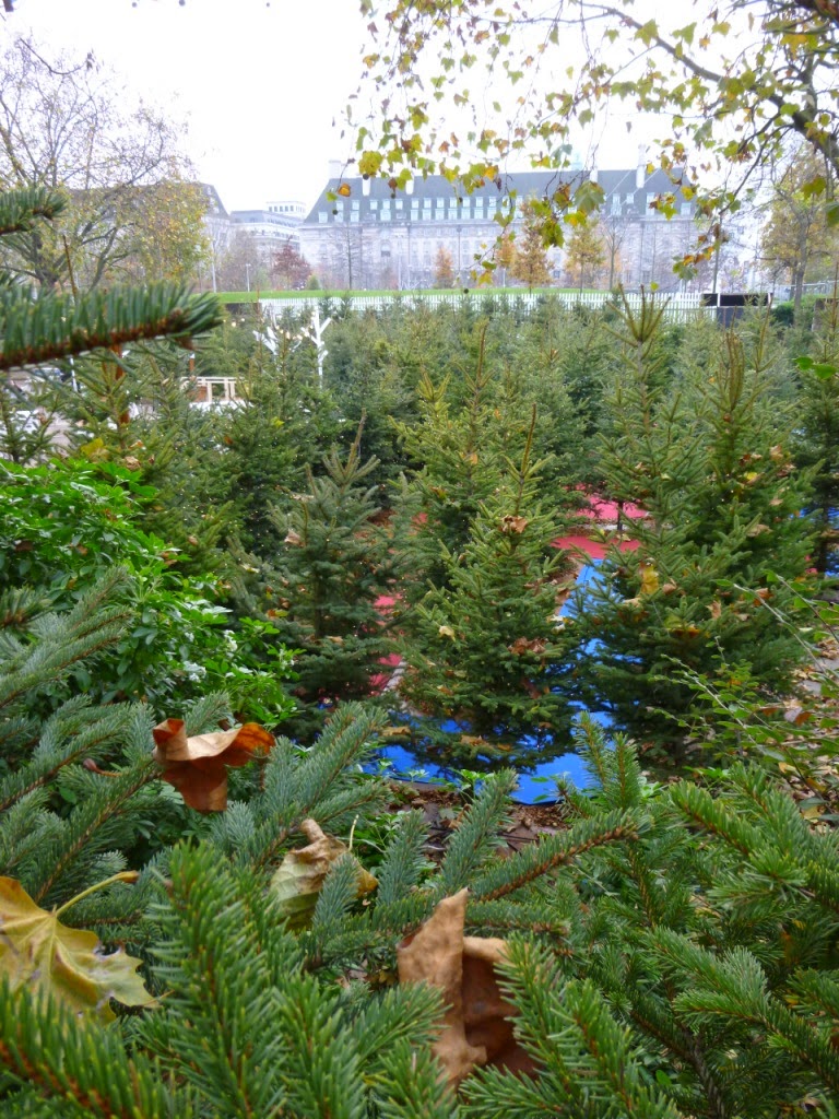 The Christmas Tree Maze at the Southbank Centre's Winter Festival in London