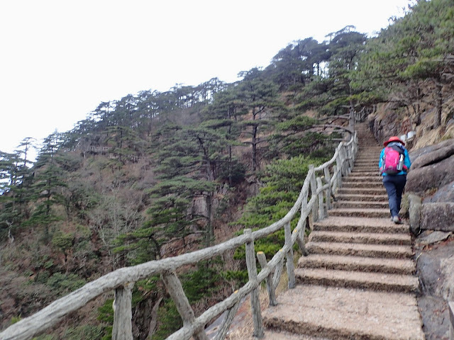 P3051474.JPG