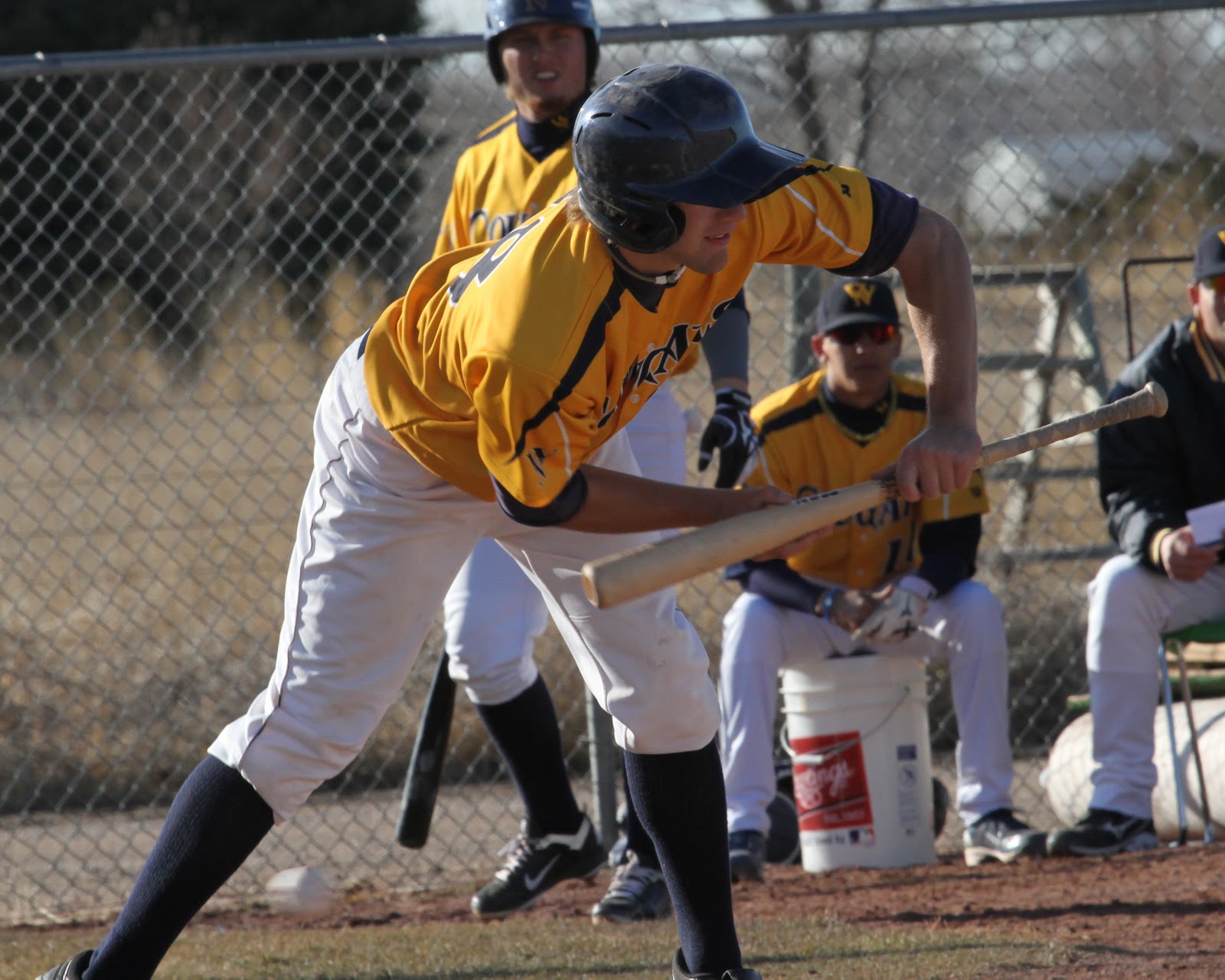 WNCC Cougar Athletics WNCC Baseball Team Shuts Out Colorado State wncc-cougar-athletics-wncc-baseball-team-shuts-out-colorado-state