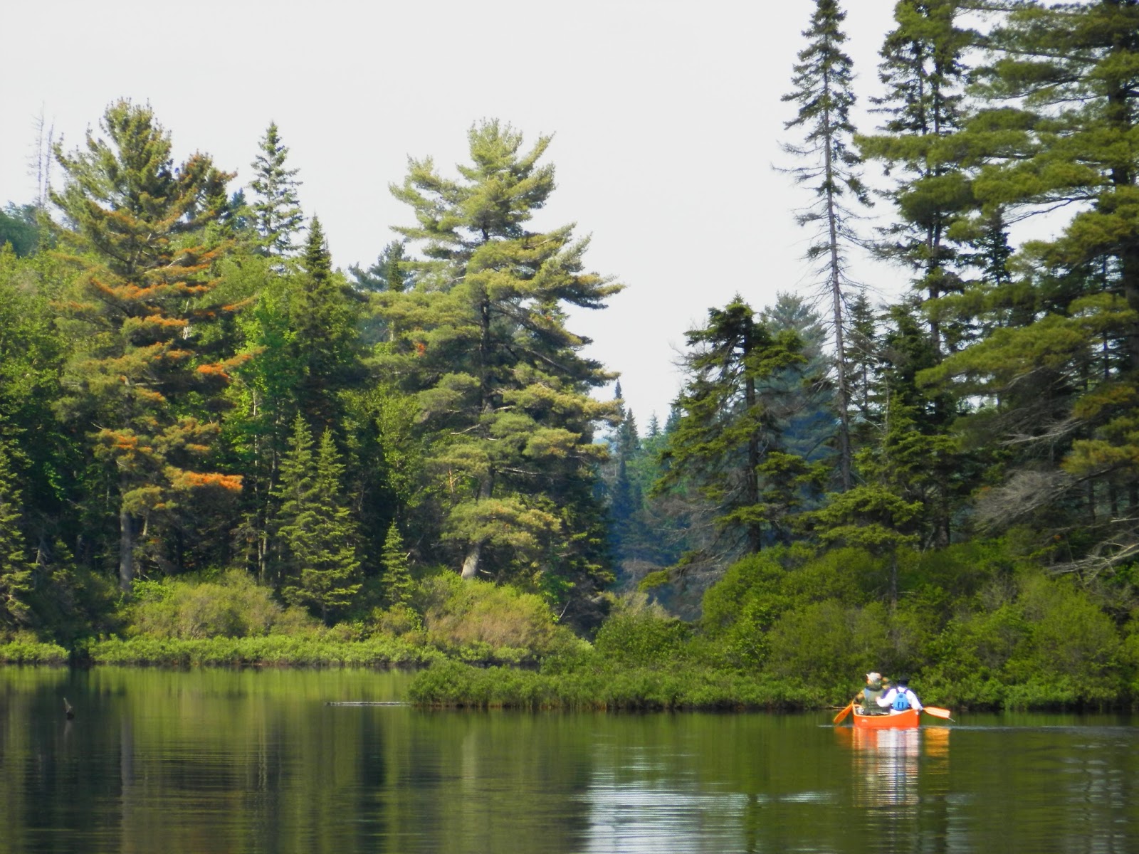 Camping In Ontario Algonquin Park Rain Lake Ranger Cabin