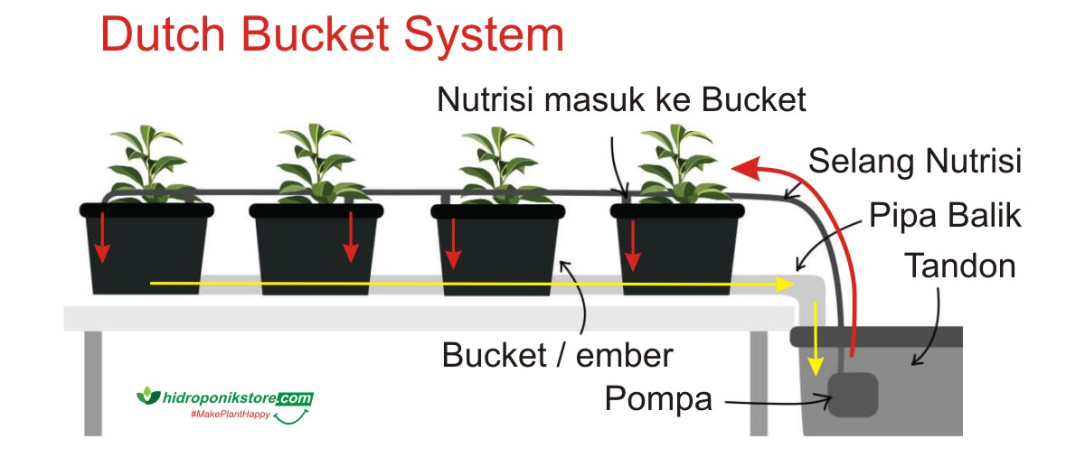 Cara Kerja Hidroponik Sistem Dutch Bucket Hidrafarm