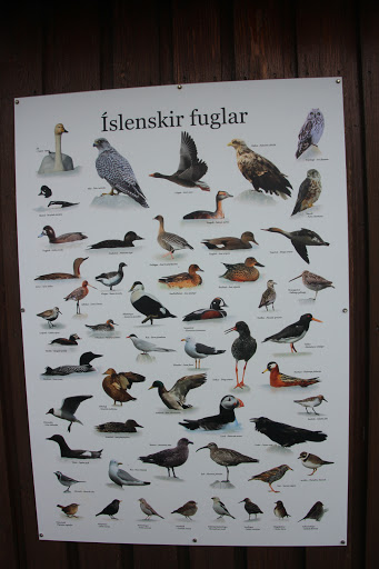 Велопоход по Исландии