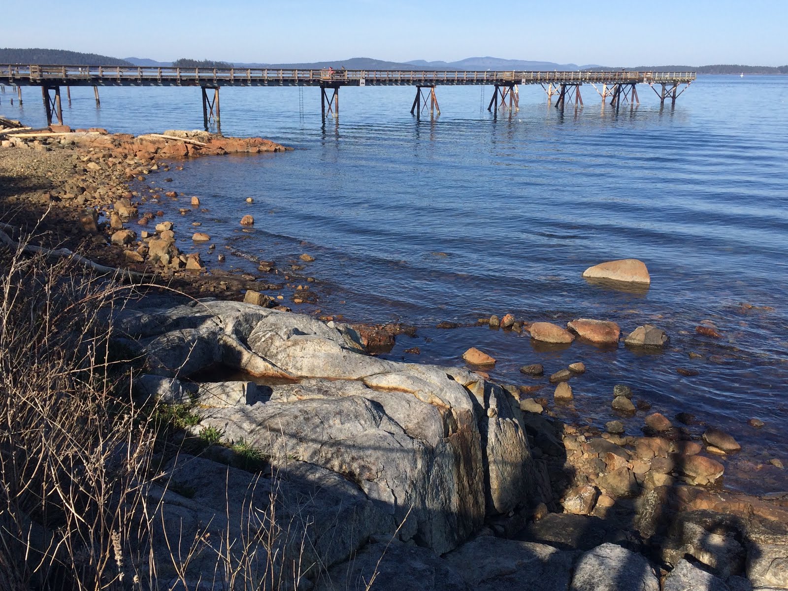 Up on Haliburton Hill I'm back