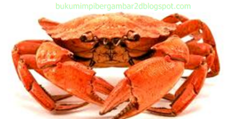 Angka Mimpi Kepiting 2d 3d 4d Bergambar Dalam Buku Mimpi Buku Mimpi Bergambar Angka Mimpi Kepiting 2d 3d 4d Bergambar Dalam Buku Mimpi Buku Mimpi Bergambar