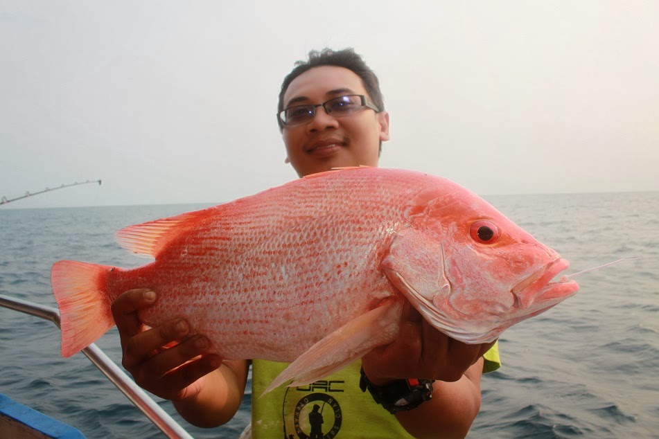 Tren Gaya 30+ Ikan Merah - Student Terpelajar - Media Pembelajaran dan