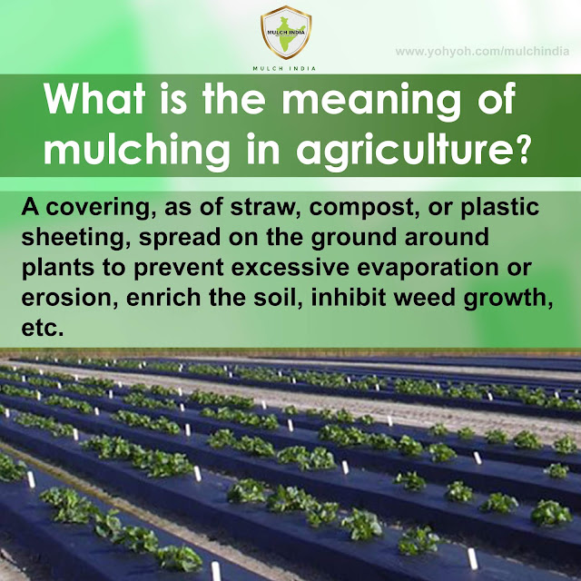 MulchIndia What is the meaning of mulching in agriculture? Mulch India