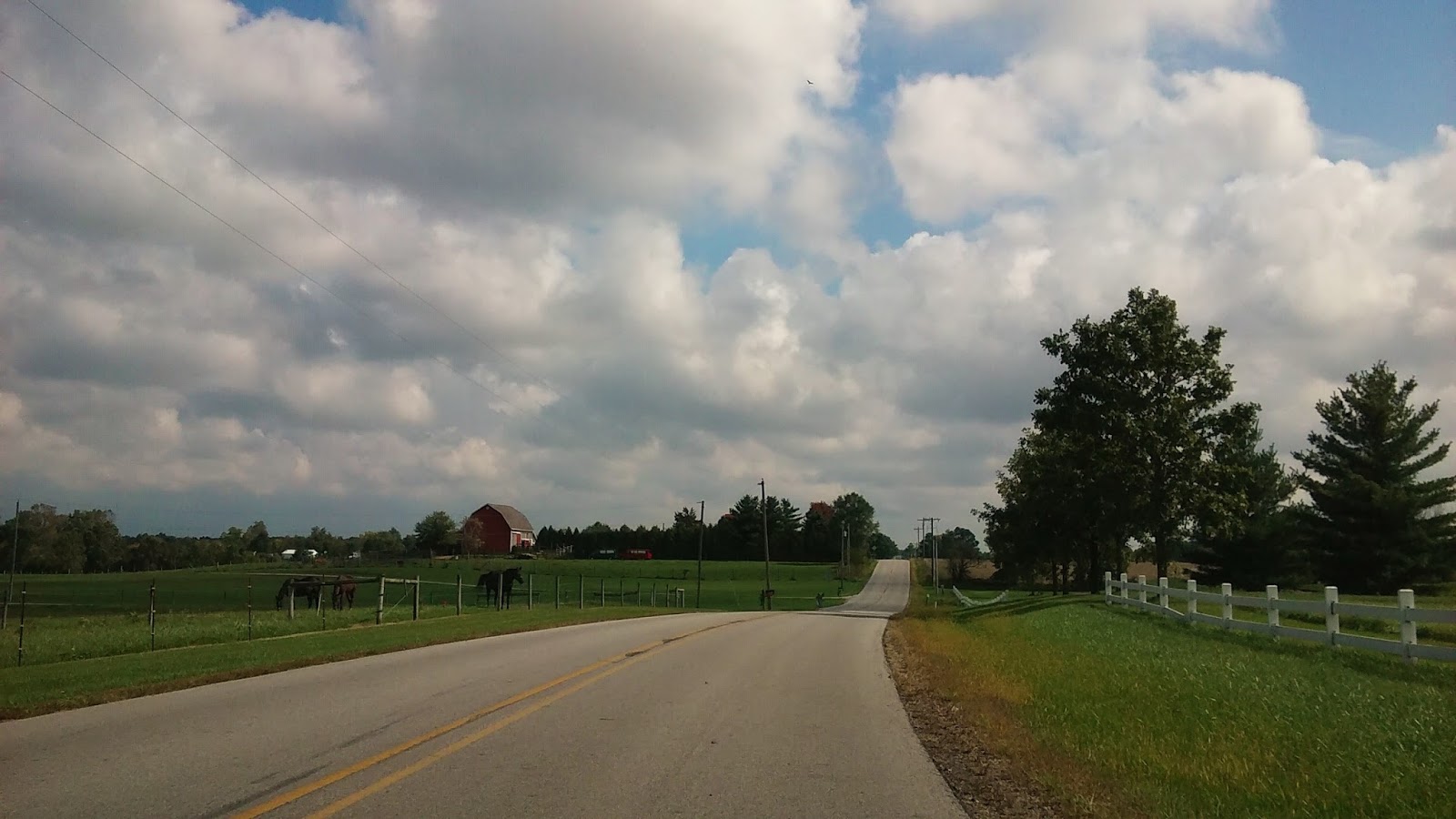 Sweet Home Indiana The Apple Festival!