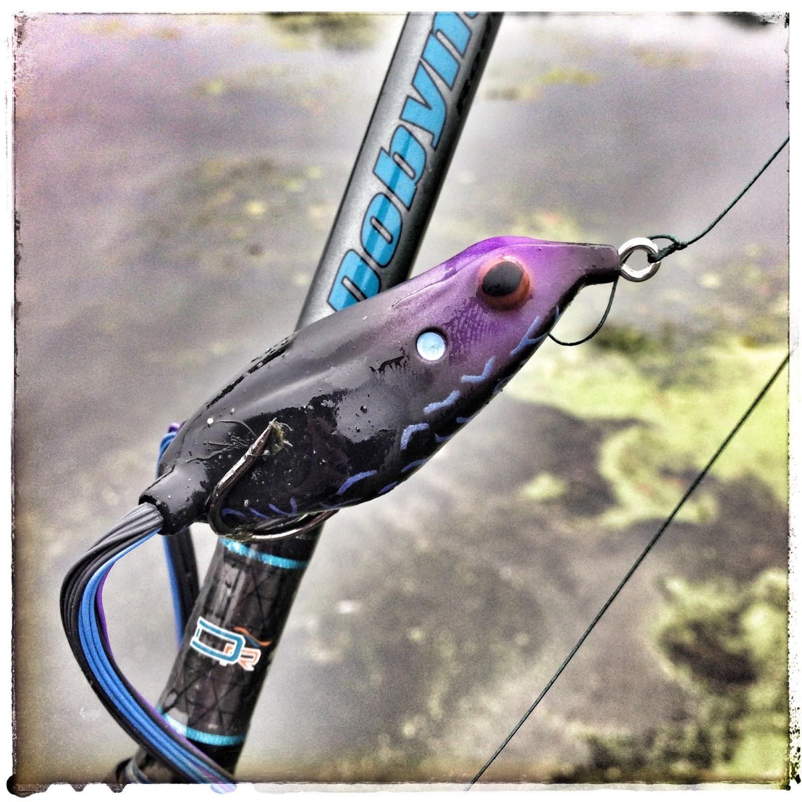 Bass Junkies Frog Pond: Reaction Innovation Swamp Donkey Review