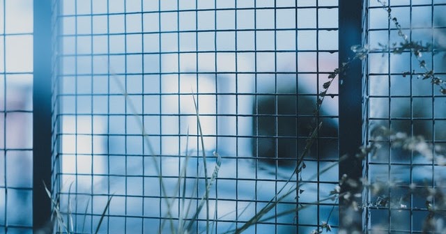 How The Pandemic Unfolded A Mess And Created Murkier Economic Conditions