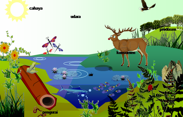 KOMPONEN EKOSISTEM ~ MATERI DAN SOAL IPA UNTUK SMA