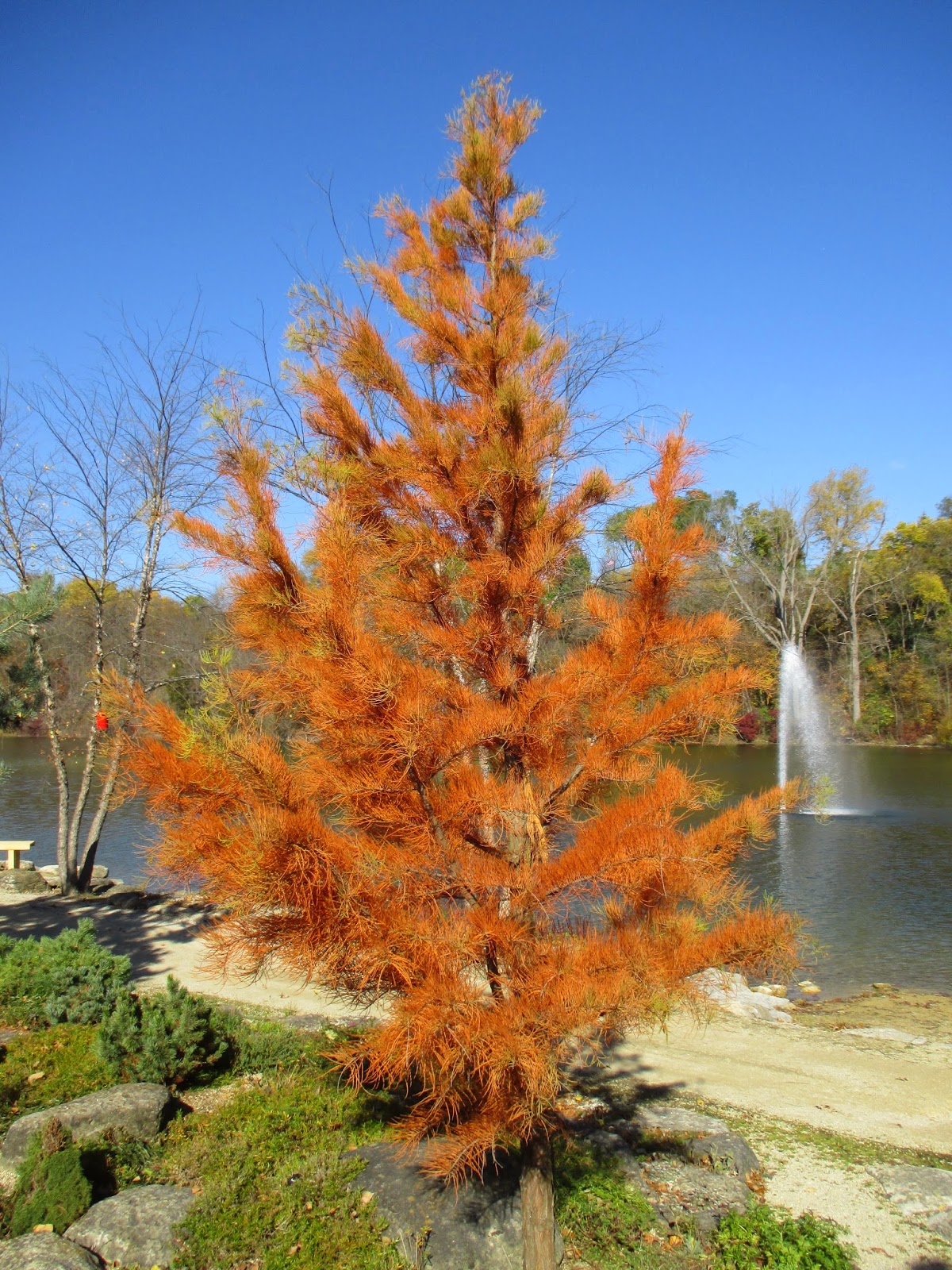 Rotary Botanical Gardens Hort Blog Glorious October