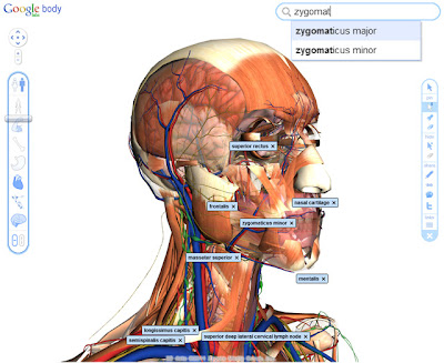 3D Body Browser
