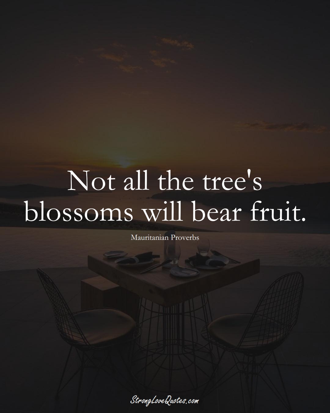 Not all the tree's blossoms will bear fruit. (Mauritanian Sayings);  #AfricanSayings