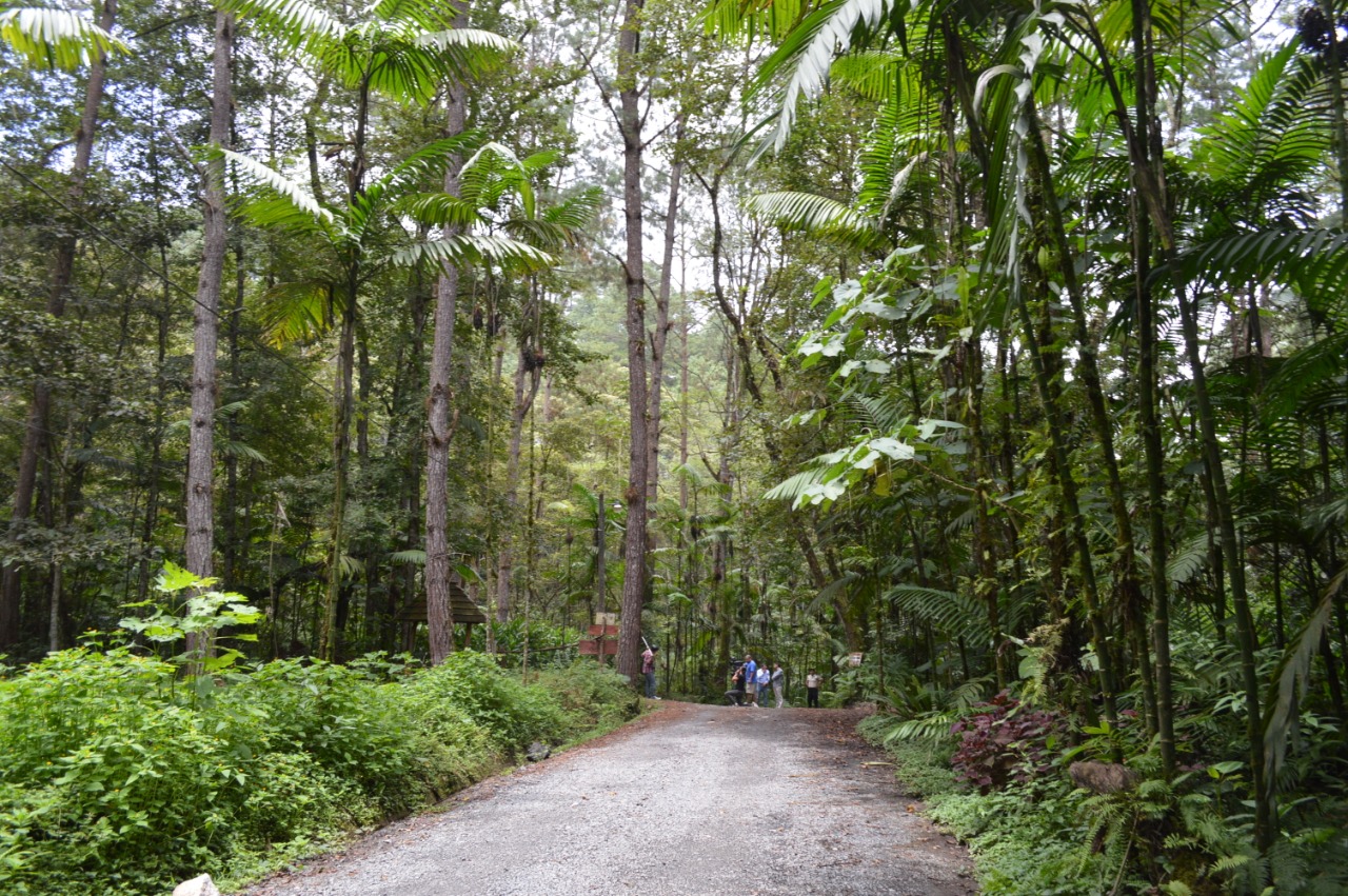INAB celebra 40 años de la creación del Parque Nacional Las Victorias