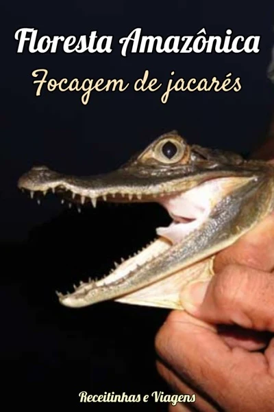 Focagem de jacares no Rio Negro