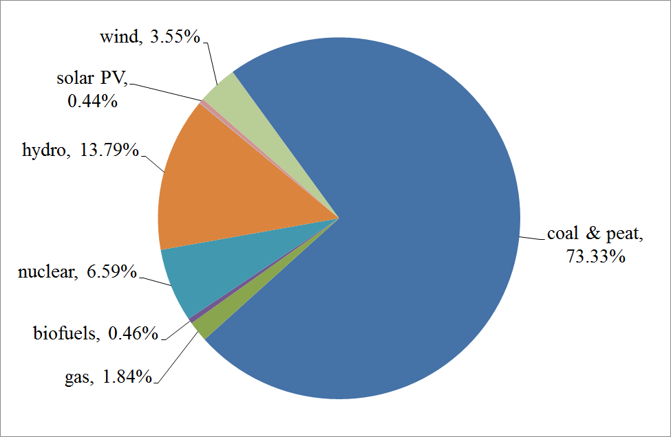 Energy and Sustainable Business Electricity Supply Security and Decarbonisation for China