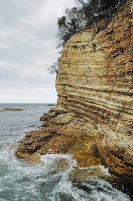 Cliffs to the south of Fossil Cove, Tasmania - 13th November 2010