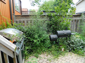 Playter Estates Toronto backyard cleanup before by Paul Jung Gardening Services