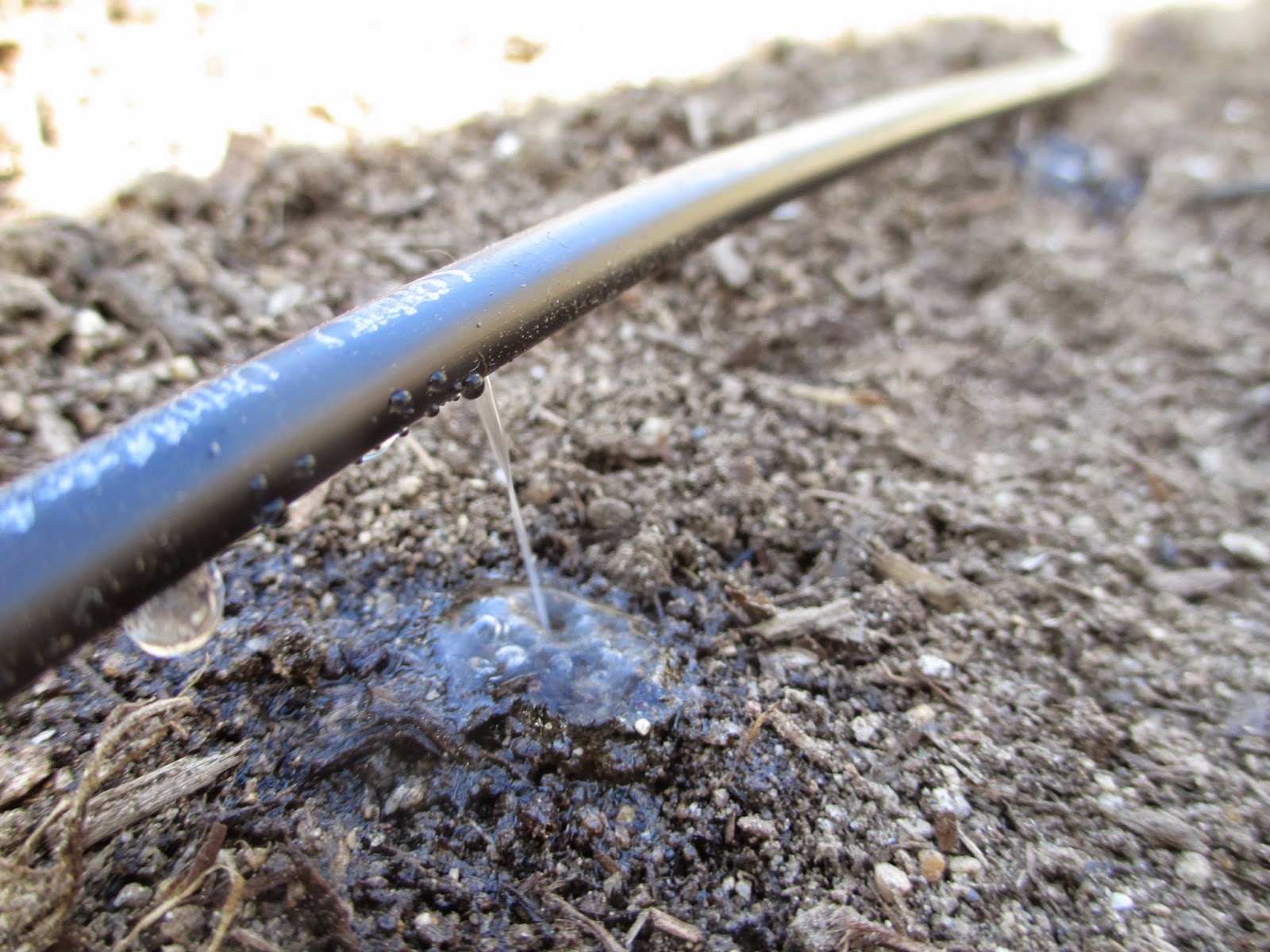 Andie's Way Replacing Clogged Soaker Hoses