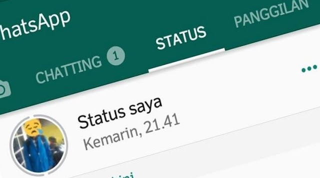 Intip Status WhatsApp Tanpa Diketahui Pengguna, Ini caranya!