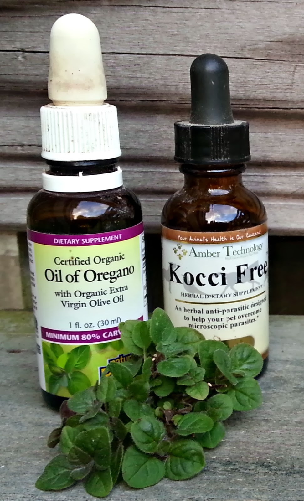 coccidia yard treatment