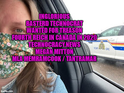 Wanted for Treason:  Megan Mitton