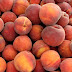 Διανομή φρούτων  αύριο σε δικαιούχους ΚΕΑ-ΤΕΒΑ στο Δήμο Αρταίων