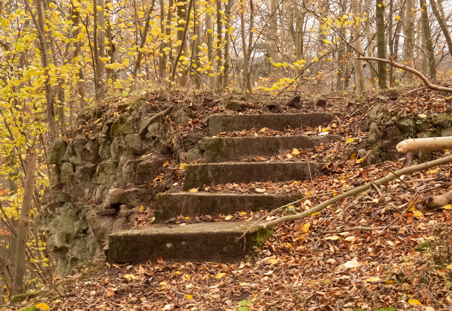 neuer Gartentraum Fotoblog Die Ziegenburg bei Ziegenhagen Nov. 2020