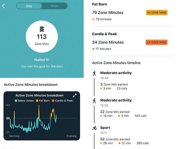 Fitbit Charge 4 Review - Your Choice Way