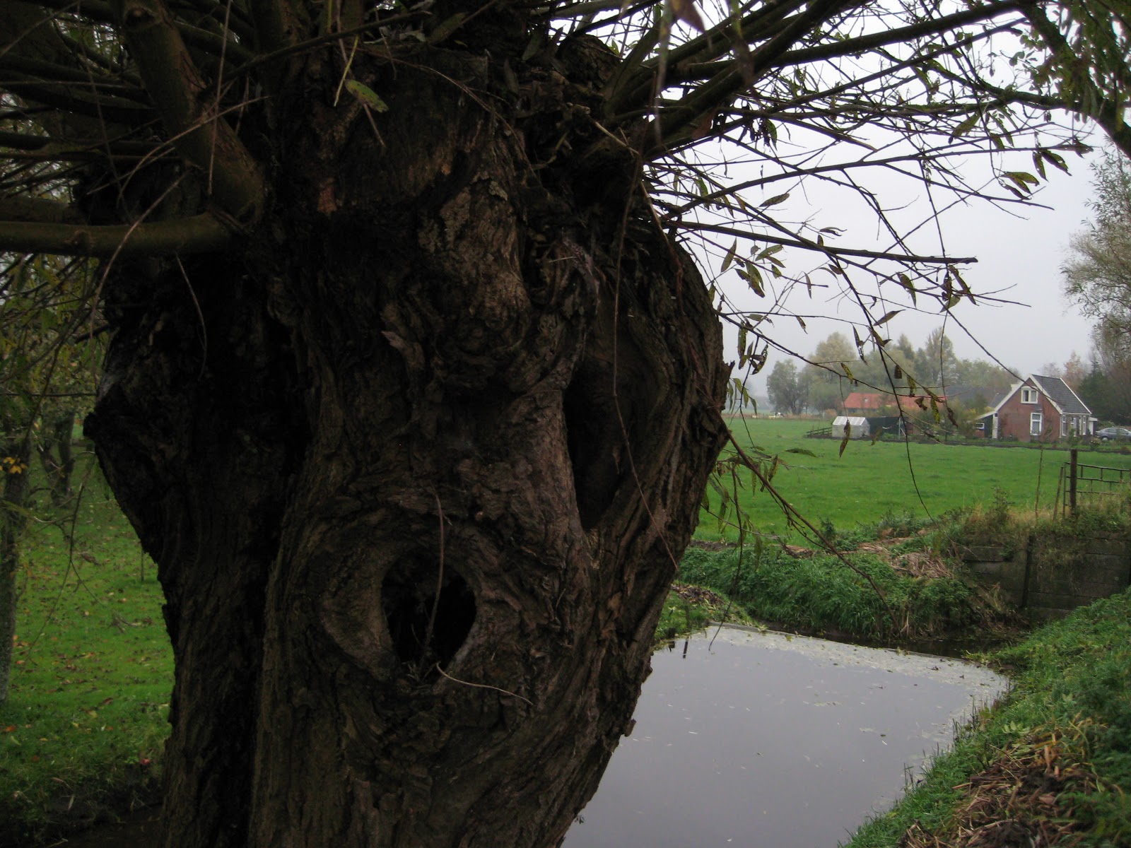 De paden op, de lanen in.: 2012