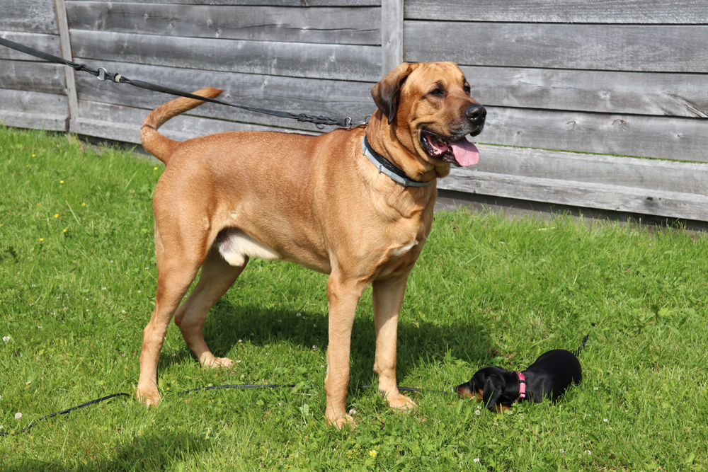 Keski-Suomen roadtrip 13 Keski-Suomen roadtrip 12