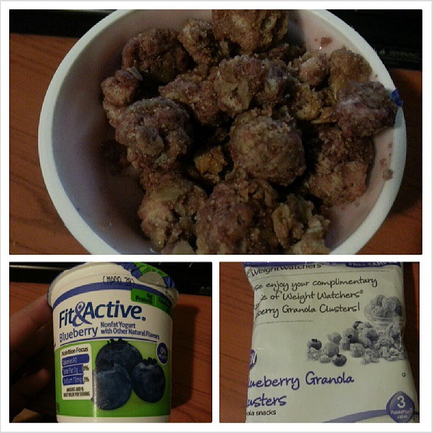 Shannon's Lightening the Load Weight Watchers Blueberry Granola