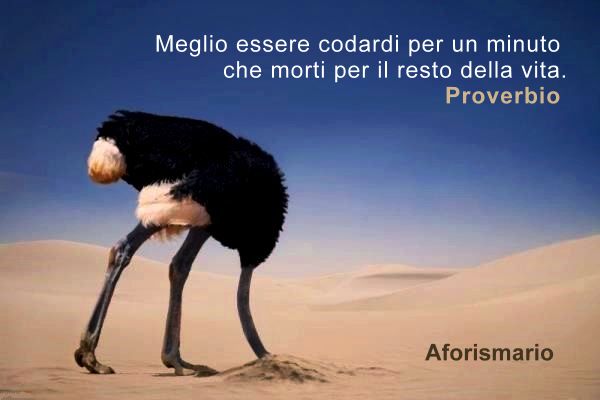 Aforismario Aforismi Frasi E Citazioni Sulla Codardia