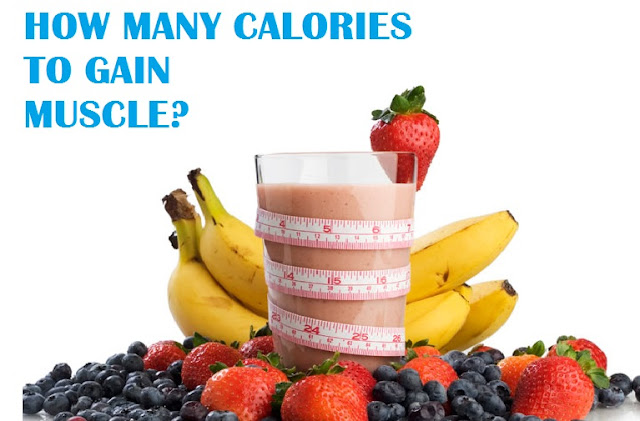 Muscle Palace How Many Calories Per Day To Gain Muscle Mass 