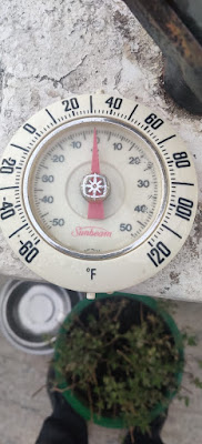 Temperature Mount Abu 16 Dec 2020