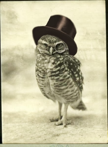 Owl Vintage 85