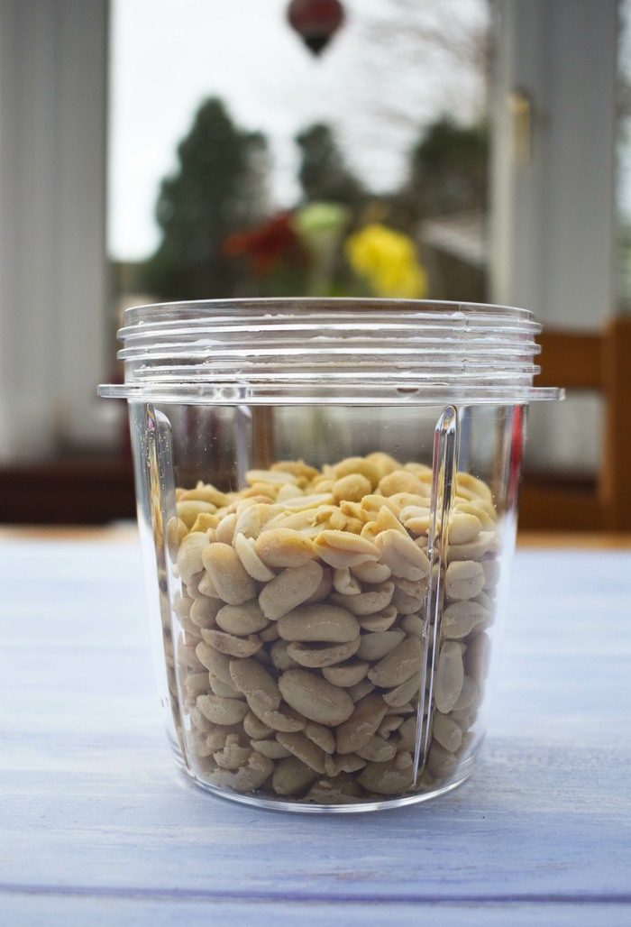 Peanuts in a small blender jug
