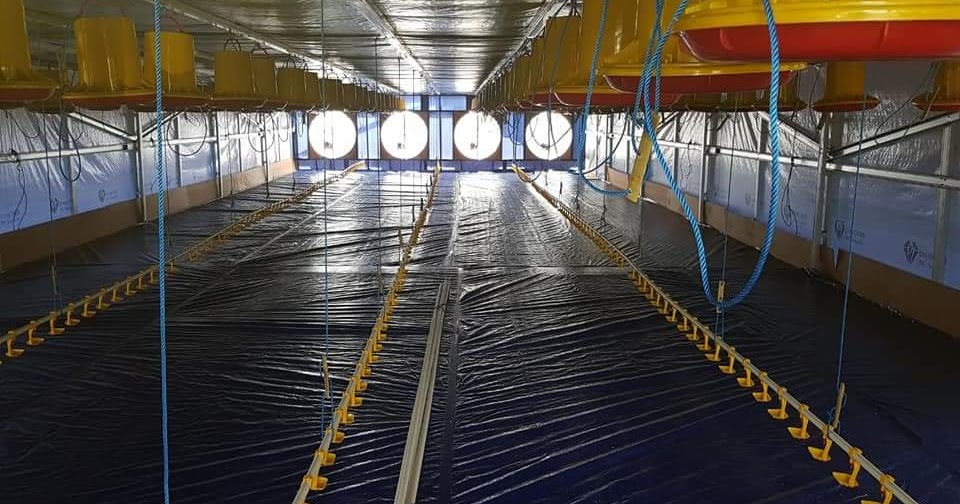 Biaya Pembuatan Kandang Close House Pop 4000 ekor