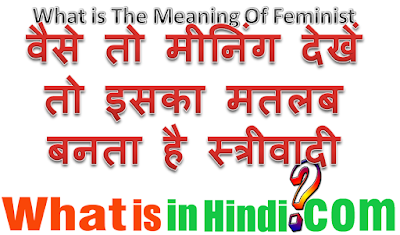 What is the meaning Feminist in Hindi
