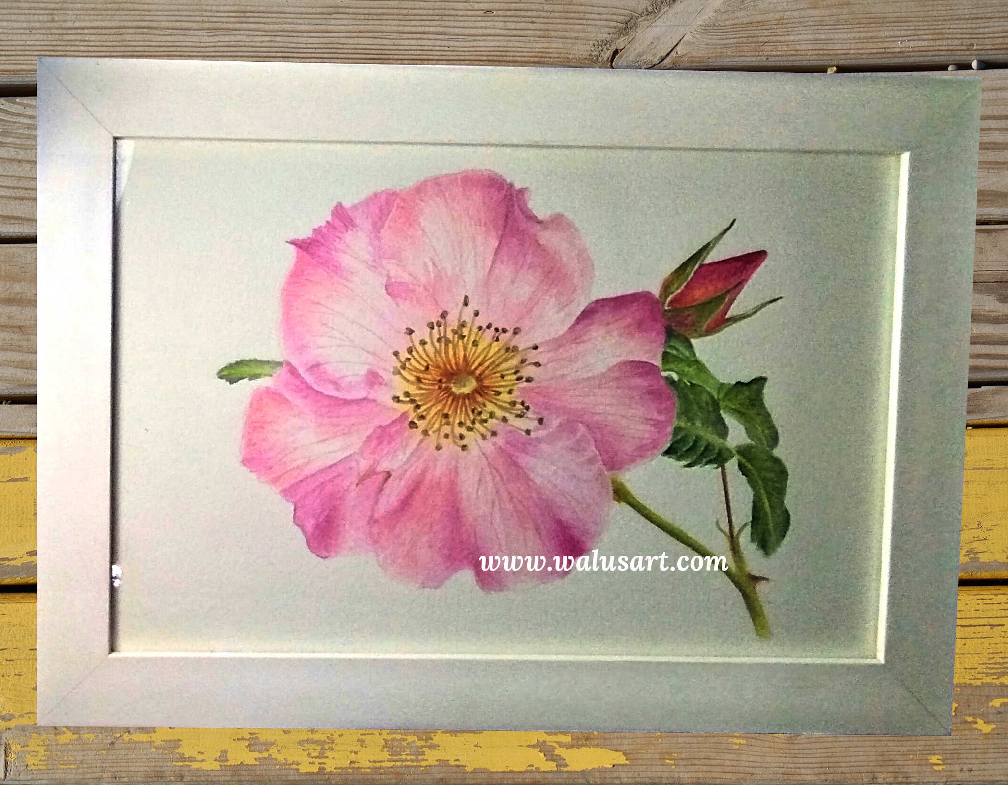 [REVIEW] Canson Montval Watercolor Paper