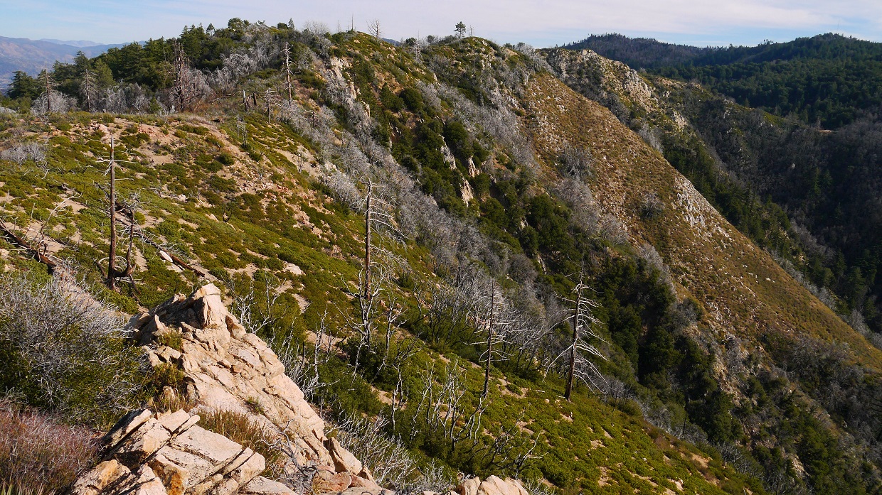 Peaks For Freaks: Wild Horse Peak, Agua Benchmark, Eagle Crag, Agua ...