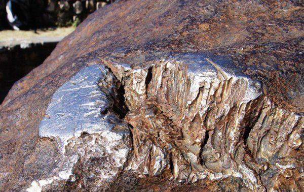 Cuanto Mide El Meteorito Que Extinguio A Los Dinosaurios