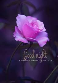 good night good night