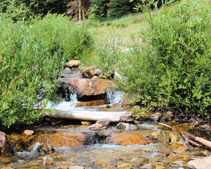 Champagne & Postcards: A travel and lifestyle blog: Ultimate Guide to ...