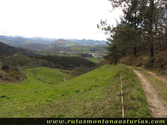 Prado y pista