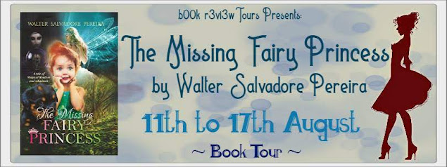 Spotlight- The Missing Fairy Princess by Walter SalvadorePareira