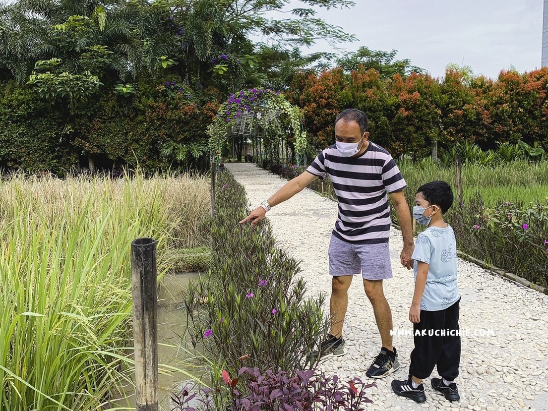 akuchichie bermain ke scientia square park saat pandemi