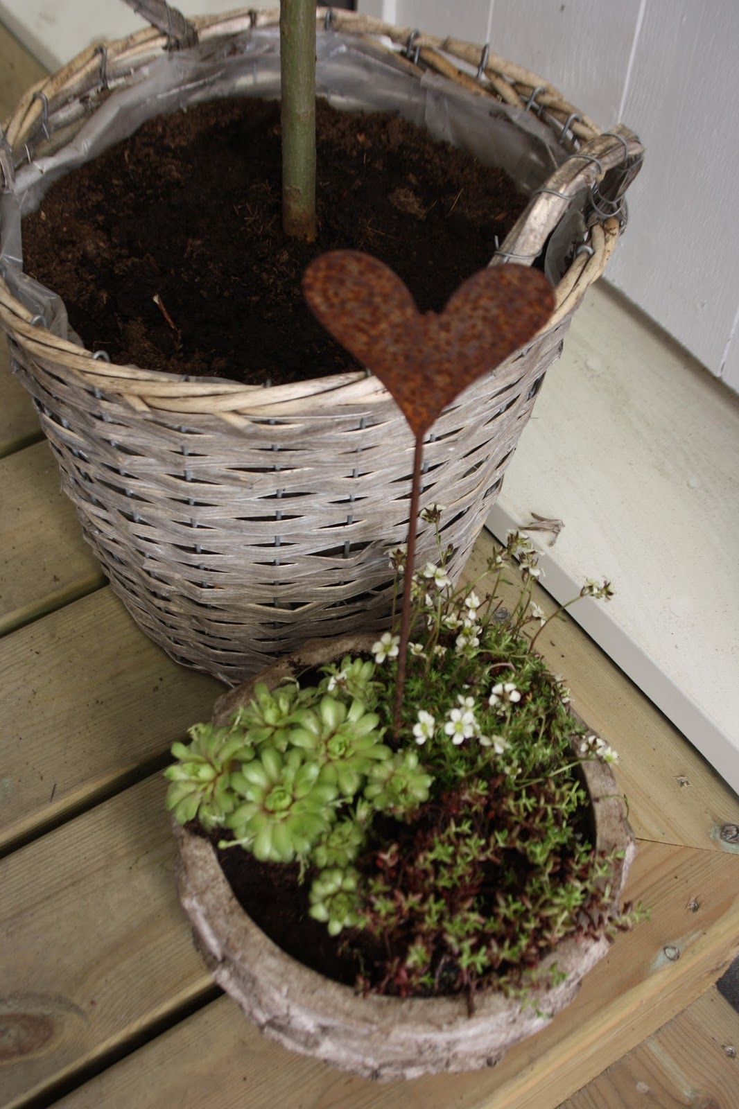 Vita gavlar: vårfint på trappan!
