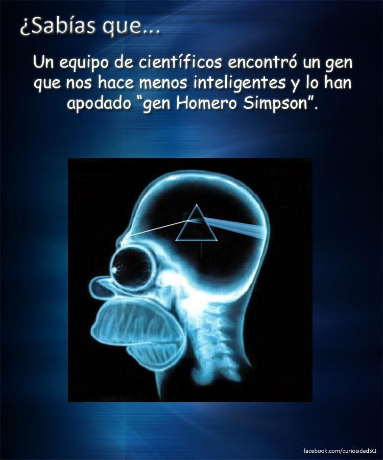 439 Curiosidades del mundo que deberías saber - Funeek ~ Aquí te