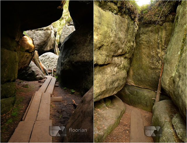Różnorodne formy skalne w Błędnych Skałac na Dolnym Śląsku - "Kurza Stopka", "Skalne Siodło", "Wielka Sala", "Labirynt" oraz "Tunel".